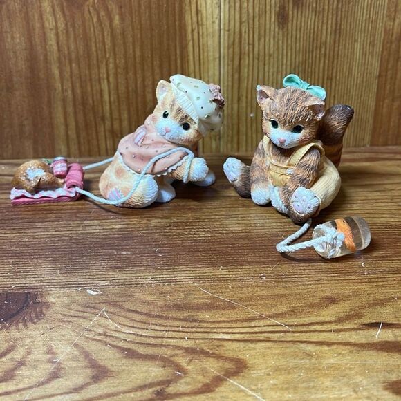 Calico Kittens Other - Calico Kittens Friends are a Feast Worth Sharing and A Splash of Happiness